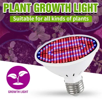 E27 LED Nő Izzó Teljes Spektrumú AC 220V SMD 2835 Phytolamp A Növények Beltéri Hidrokultúrás Virág Palánta Led Növény Nő Lámpa