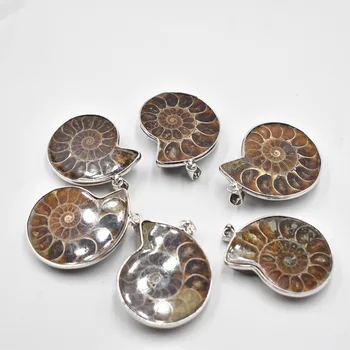 Nagykereskedelmi 4db/sok divat Természetes Kő Ammonite csigaház Fosszíliák medálok, ékszerek Kiegészítők készítése ingyenes szállítás