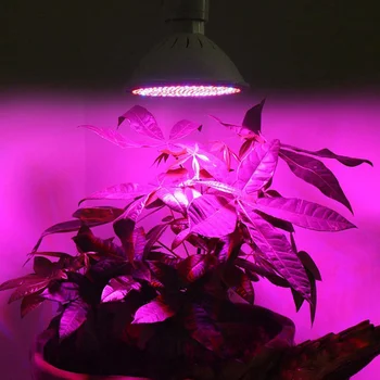 Nő LED Fény Teljes spektrumát LED Növény Tápoldat Növekedés Fény Növény Lámpa Beltéri Világítás Virág Palánta Hidroponikus Sátor Izzó