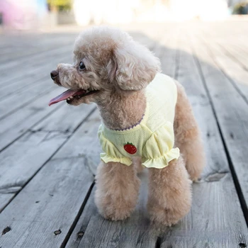 Új Pet Ruhát Eper Hímzett póló Teddy Macska, Kutya Ruhák Népszerű kutya ruhák, kis kutya, kis kutya melegítőfelső